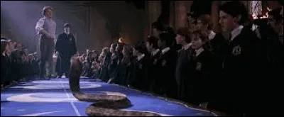 Qui a lancé un serpent à Harry Potter ?