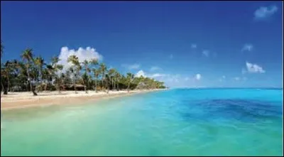 Quelle est ton activité favorite ?