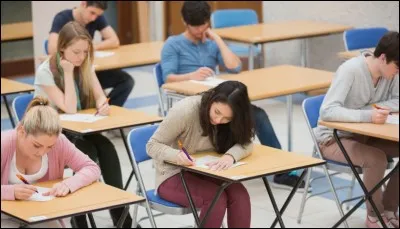 Lequel de ces bacs te conviendrait le plus ?