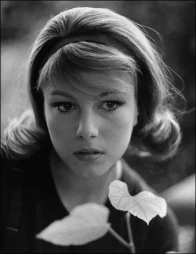 Elle est consid&eacute;r&eacute;e comme une des actrices italiennes les plus importantes, &agrave; l'instar d'une Sophia Loren. On la retrouve dans &laquo;&nbsp;Nous nous sommes tant aim&eacute;s&nbsp;&raquo;, &laquo;&nbsp;Divorce &agrave; l'italienne&nbsp;&raquo;, &laquo;&nbsp;L'a&icirc;n&eacute; des Ferchaux&nbsp;&raquo;, &laquo;&nbsp;Tendre voyou&nbsp;&raquo; ou bien &laquo;&nbsp;Police Python 357&nbsp;&raquo;.