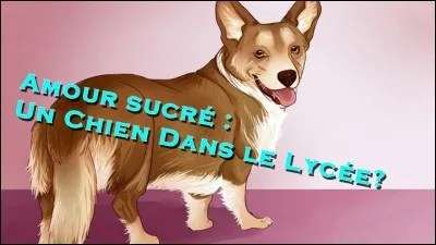 Justement voilà le chien maudit, qui est-il ?