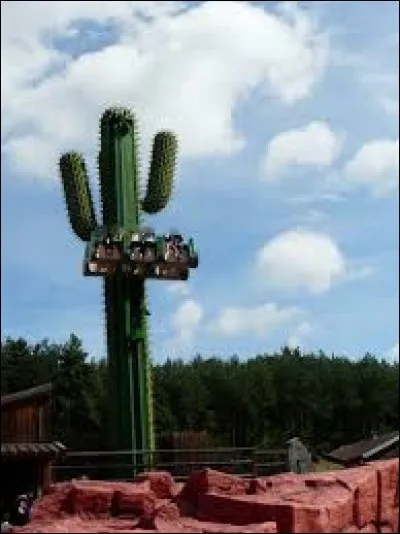 Dans le parc d'attraction de Fraispertuis dans les Vosges, il y a un manège appelé "Le Cactus".