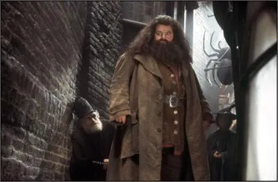 Qu'est devenu Norbert, le dragon n dans la cabane de Hagrid ?