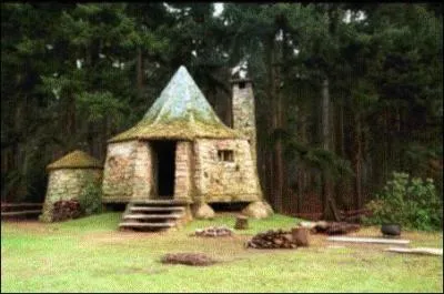 Que font les mangemorts  la cabane de Hagrid durant la sixime anne ?