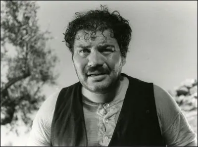 Bien qu'il tourna dans plus de 100 films, il n'est pas le plus connu des acteurs italiens. On se souvient de son rôle de Luigi, brave cimentier italien malade de la silicose dans « Le salaire de la peur ».