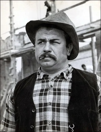 Ce visage n'est pas inconnu du public français. Il est en effet connu surtout pour ses rôles aux côtés de Fernandel dans la série des « Don Camillo », « Le grand chef » et « Le bon roi Dagobert ».