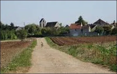 Nous restons en Ile-de-France, avec une visite de Maisoncelles-en-Gâtinais. Village de l'arrondissement de Fontainebleau, il se trouve dans le département ...