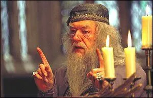 Quelle est la particularit de sa baguette ?