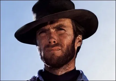 Clint Eastwood a joué dans...