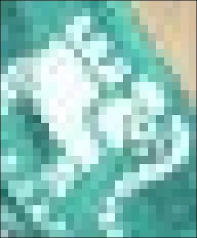 Regardez l'image, à qui appartient ceci ?