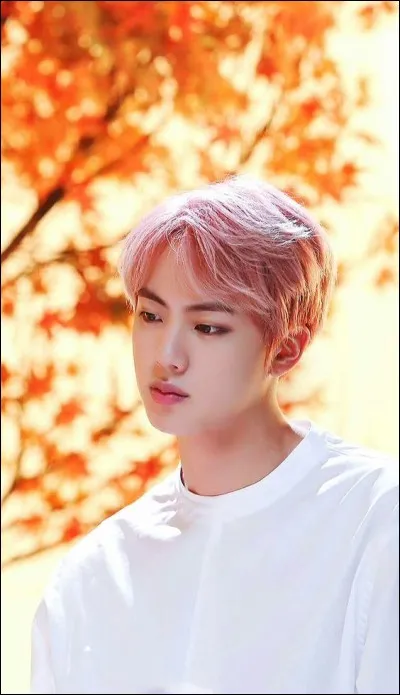 Quelle est la couleur favorite de Jin ?