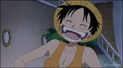 Lorsque Luffy et les autres accostent sur Thriller Bark, quels sont les objets que Luffy souhaite apporter ?