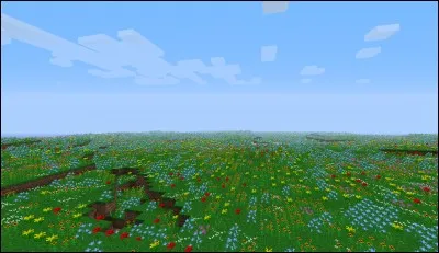 Combien y a-t-il de sortes de fleurs en 1.9 ?