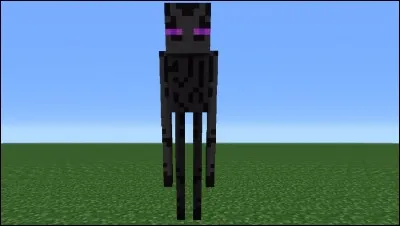 Quand on lance une potion d'invisibilité à un Enderman :
