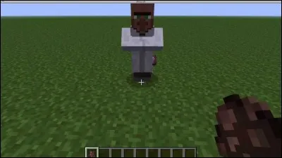 Combien de temps faut-il à un bébé villageois pour grandir ?