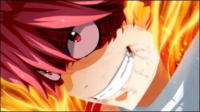 Je suis un chasseur de dragon du feu et mon meilleur ami est Happy. Qui suis-je ?