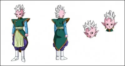 Quel kaioshin est-il ?