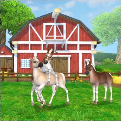 Avec quel argent achetons-nous des chevaux ?