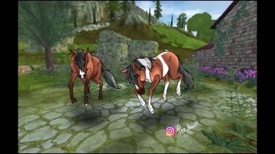 Quelle race n'existe pas sur SSO ?