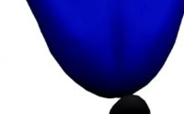 Quiz Sonic