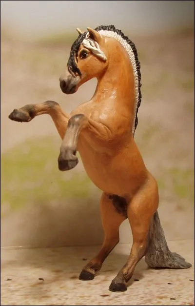 Qui en est le fondateur ?