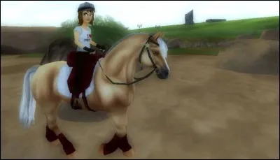 Quelle est cette race qui ressemble beaucoup à un haflinger mais n'en est pas un ?