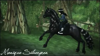 Quelle est cette belle race ?