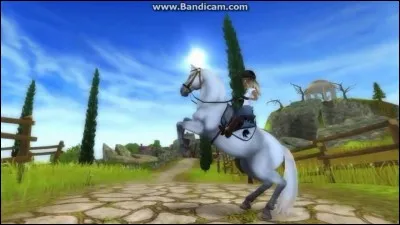 Quel est cet race qui peut seulement faire la levade ?