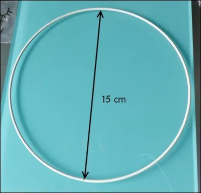 Comment s'appelle le segment noir à l'intérieur du cercle ?
