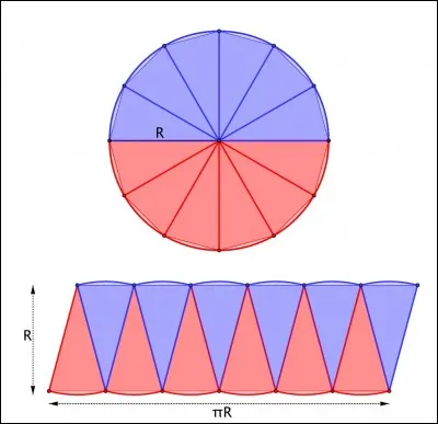 Comment s'appellent les segments rouges ou bleus ?