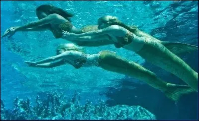 Les sirènes sortent de la mythologie :