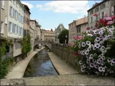 Vous allez chez votre oncle Michel, qui est un Ligérien. Il vit dans le département ...