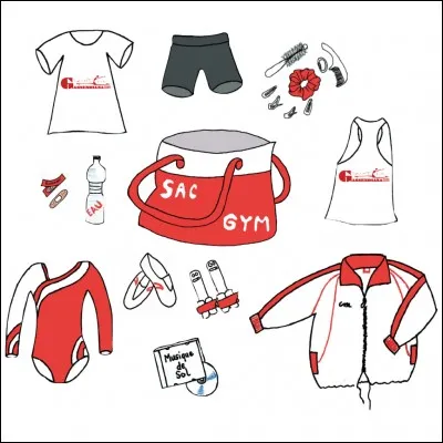 Trouve l'intrus : quel site internet ne produit pas d'affaires de gymnastique ?