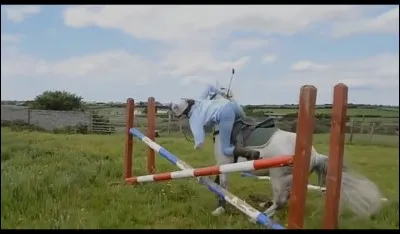Pour débloquer la vallée du dinosaure oublié il faut...