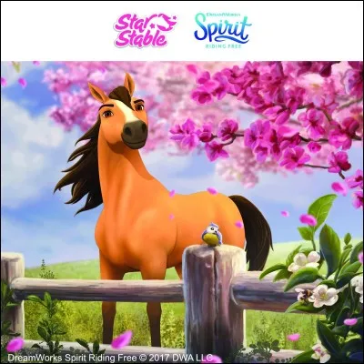 Pour avoir Spirit dans son écurie il faut...