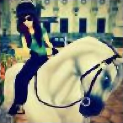 Quelles sont les trois nouvelles robes des Jorvikois sang chaud ?