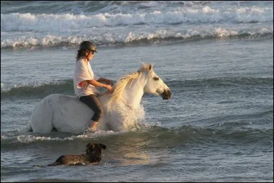 Monter à cru veut dire ...