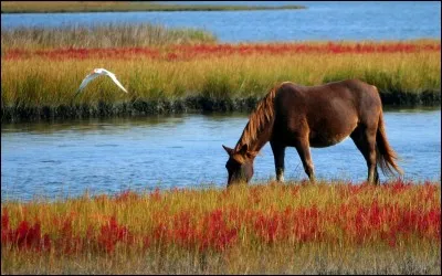 Qu'est-ce qu'un entier ?