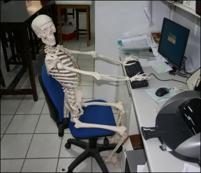 Combien de squelettes fait apparaître la sorcière de nuit ?