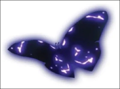 Comment l'appelle-t-on ?