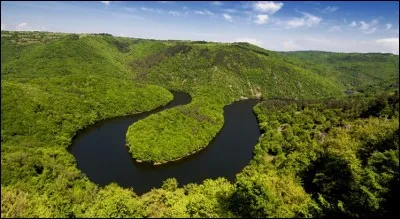 Cette photo a été prise dans une forêt non-française :