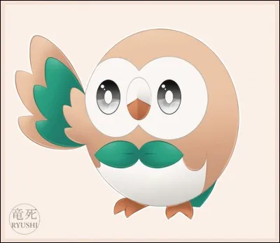 Quel est ce Pokémon ?