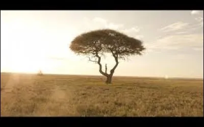 Où a été tourné le clip "La vie est belle" ?