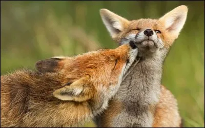 Chenal reliant des cours d'eau dans les pays tropicaux !