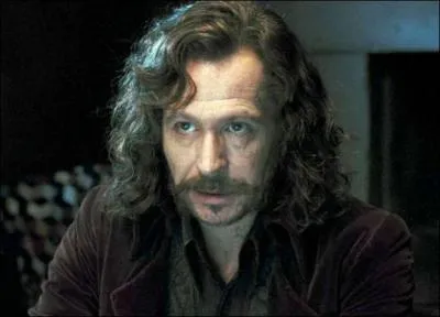 Sirius est un animagus, mais en quoi se transforme t'il ?