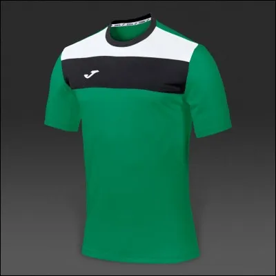 Quel club porte un maillot vert à domicile ?