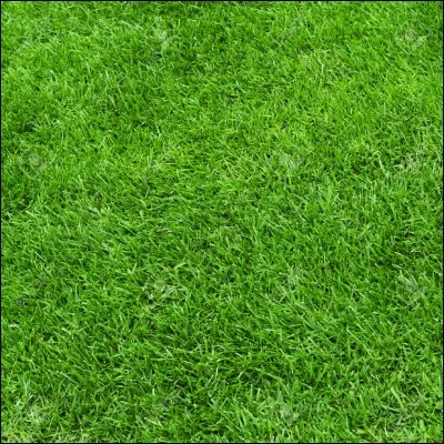 Quelle est la couleur de l'herbe ?