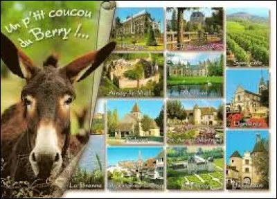 Quelle est la capitale du Berry ?