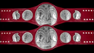 Qui sont les Raw Tag Team Champions ?