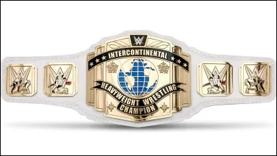 Qui est le champion de l'Intercontinental ?